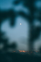 Moon in the clear sunset sky. Sunset with the moon over the mountains. Beautiful mountains. Tree branches.