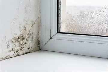Fotobehang Mold in the corner of the plastic windows © andrei310