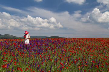 Young  girl in red blooming poppy field  wearing white dress and hat. 