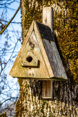 old wooden birdhouse at a yard