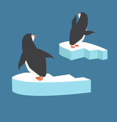 Penguin couple  on ice floe vector