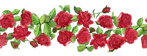 Fototapeta na wymiar Flowers seamless border isolated on white background. Hand drawn illustration of roses.