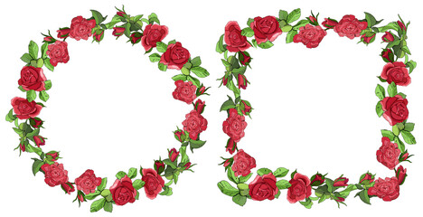 Flowers seamless border isolated on white background. Hand drawn illustration of roses.