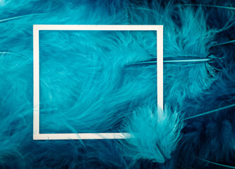 Blue feathers and white paper frame. Flat lay. Close-up.