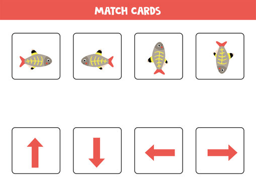 Match pictures with arrows of orientation. Cartoon x ray fish. Left or right, up or down.