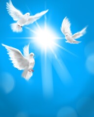 The flying three white doves around clouds leading to shining heaven and the background of the clouds in beautiful blue sky