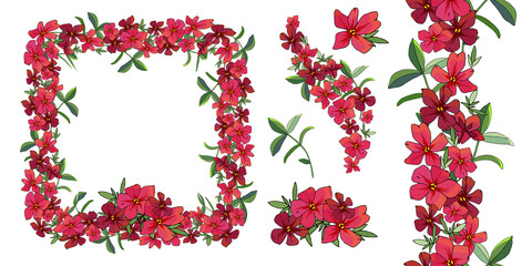 Vector flower romantic set. Hand drawn illustration.