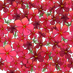 Seamless pattern with flowers isolated on white.