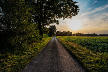 Spätsommerlandschaft