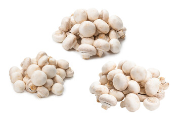 Champignon mushroom isolated on white background.