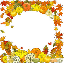 Naklejka na ściany i meble Autumn frame isolated on white background. Pumpkins, leaves, acorns.