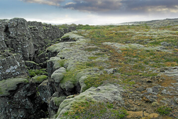 he break between the Eurasian plate and the North American plate in Iceland