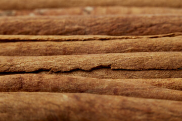 Cinnamon close up on a white background