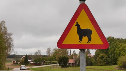 Verkehrsschild Warnschild mit Lama oder Alpaka in Schweden, Achtung aufpassen - 398266518