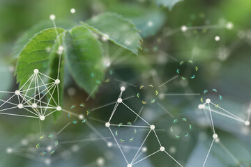 the Network connection on green plant.