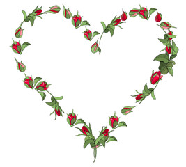 Vector heart frame of red roses flowers isolated on a white background.