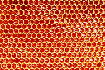 Background texture and pattern of a section of wax honeycomb from a bee hive filled with golden honey i