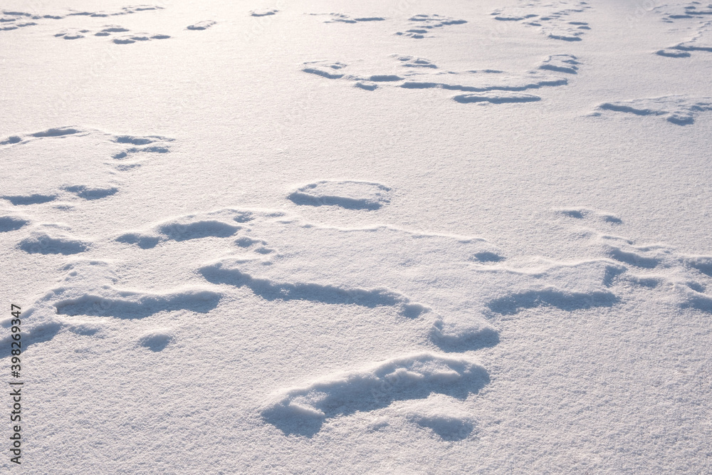 Poster white fine ice and snow surface texture background texture, winter background