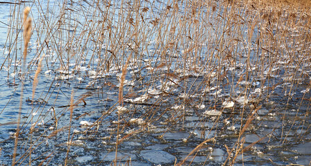 water drops on the window