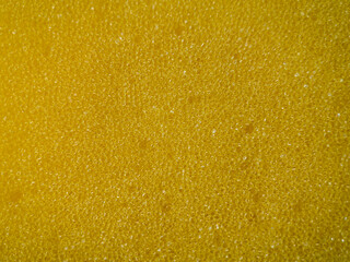 close up macro yellow sponge details