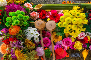 京都 秋の勝林寺と風情感じる紅葉景色