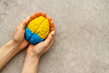 Mindfulness concept. Human brain model in hands, top view