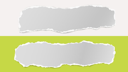 Pieces of torn paper are on white and light green background for text, advertising or design. Vector illustration
