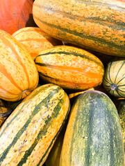 Striped squash for sale in supermarket or farmers market. Delicata Squash. Winter squash. Sweet potato squash.  Bohemian squash.