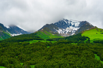 Summer in Kenai Mountains in Alaska