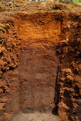 Soil profile of a raised bog in the Venner Moor near Osnabrueck in Germany