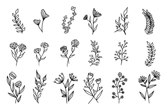 Floral hand drawn cute vintage set. Collection of vector flowers and branches of leaves. Vector sketch illustration.