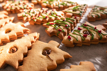 Christmas Tree shaped gingerbread cookies in a tray