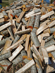 Chop firewood . A large pile of firewood prepared for the winter