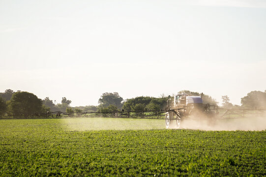 fumigadora, fumigando un campo de soja erde con un abundante cielo y arboles 