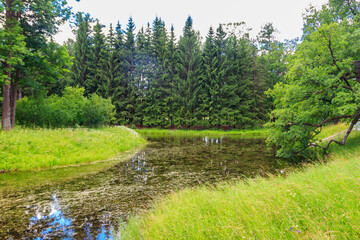 Fototapeta na wymiar Small river in a mixed deciduous and coniferous forest in Russia. Summer landscape