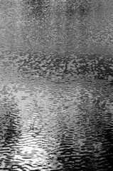 Sea water waves abstract black and white background