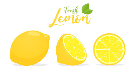 Vector yellow lemon fruit with sour taste for cooking and squeezing to make healthy lemonade