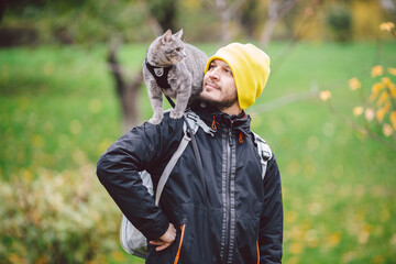 Cute gray young cat dressed leash for cats outdoors in autumn park street,stands on shoulder of owner,back of man dressed transparent cat backpack,no face.Animal care, people and pets theme