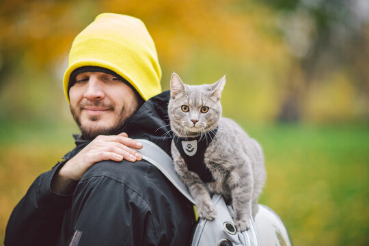 Portrait of tall young Caucasian happy man outdoor playing with gray funny handsome kitten sits on his back on transparent cat backpack carriers bag, close-up nature green background,people and pet