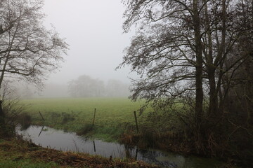Beautiful autumn landscape on a misty morning with forest edge, stream and pasture.