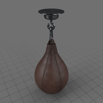 Punching bag speedball