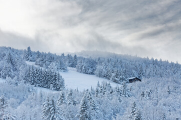 Les Vosges en hiver