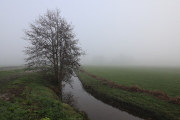 Beautiful autumn landscape on a misty morning with forest edge, stream and pasture.