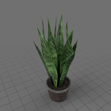Decorative potted plant 2