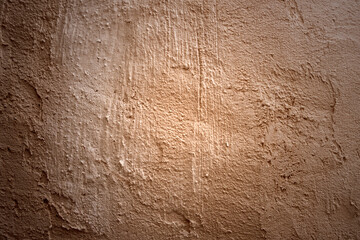 In the background, a plastered wall with uneven lighting, a fragment