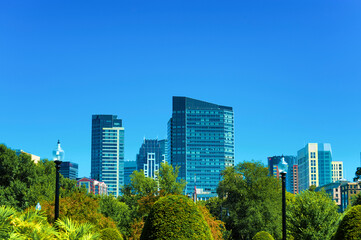 Obraz premium Boston's Skyline view from Public Gardens