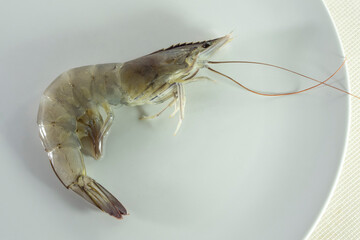 A shrimp lying on a white plate