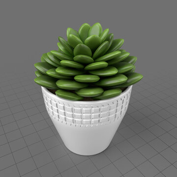 Artificial potted cactus 2