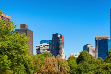 Fototapeta premium Boston Common's Skyline View of Boston's East end