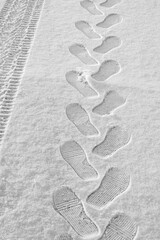rhythmic footprints, boot tracks and car tires on thin white snow in winter go into the distance, vertical frame, ribbed tread, close-up